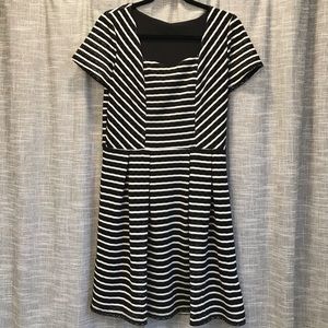 Brand New Lace Black & White Dress